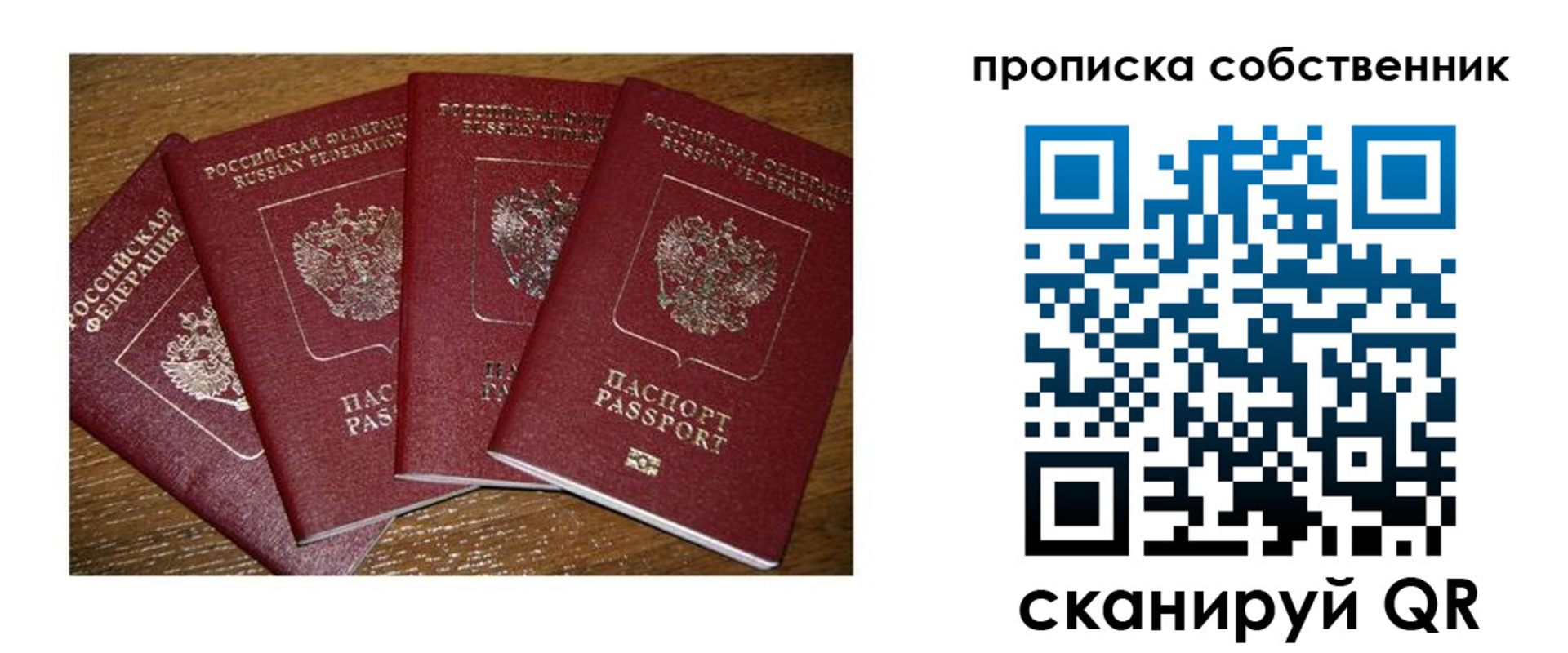 прописка поиск в Камышине